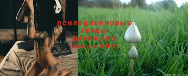 марки nbome Ладушкин